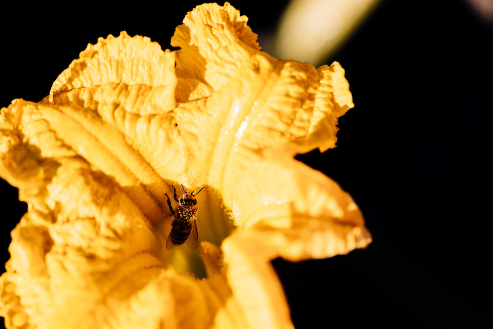 20230908_garten_idem-11
