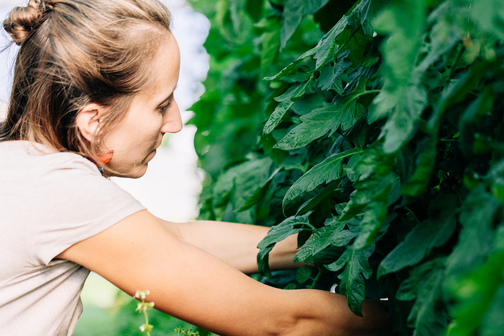 20230908_garten_idem-15