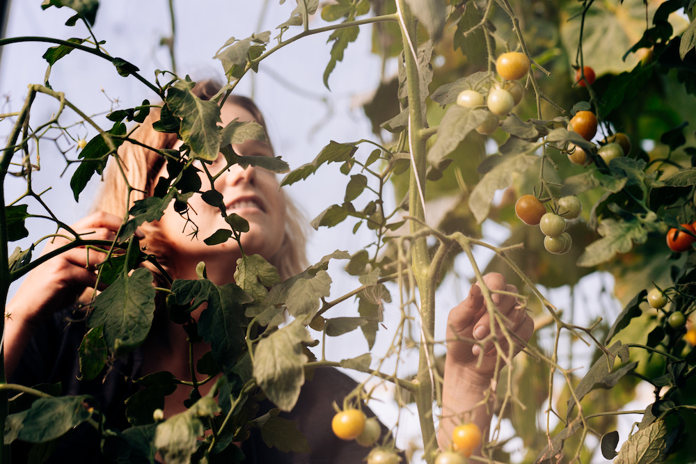 20230908_garten_idem-18