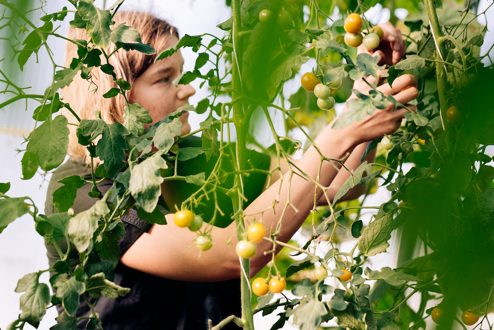 20230908_garten_idem-19