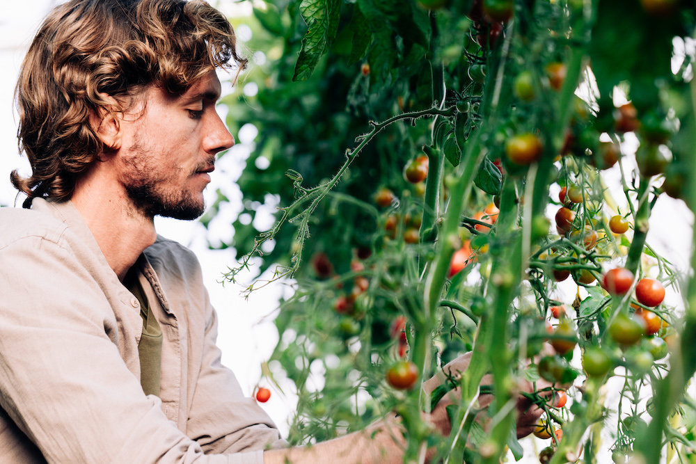 20230908_garten_idem-20