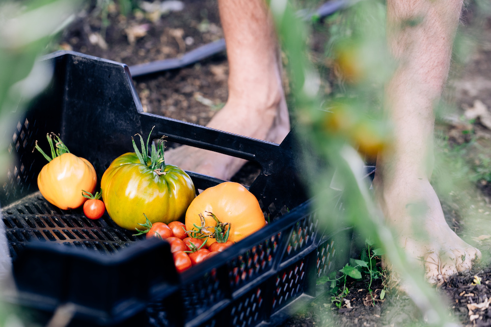 20230908_garten_idem-22