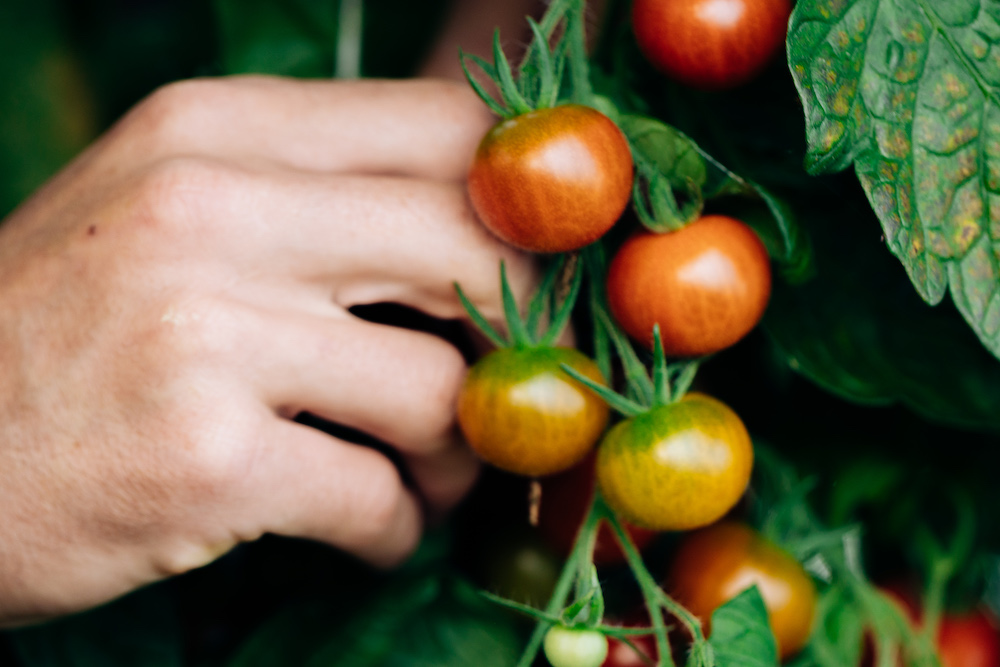20230908_garten_idem-23