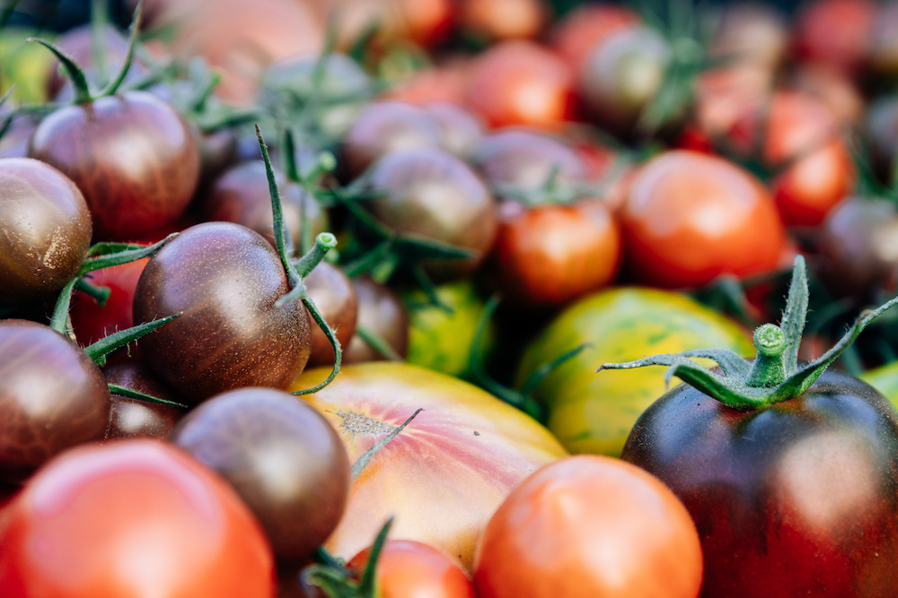 20230908_garten_idem-27