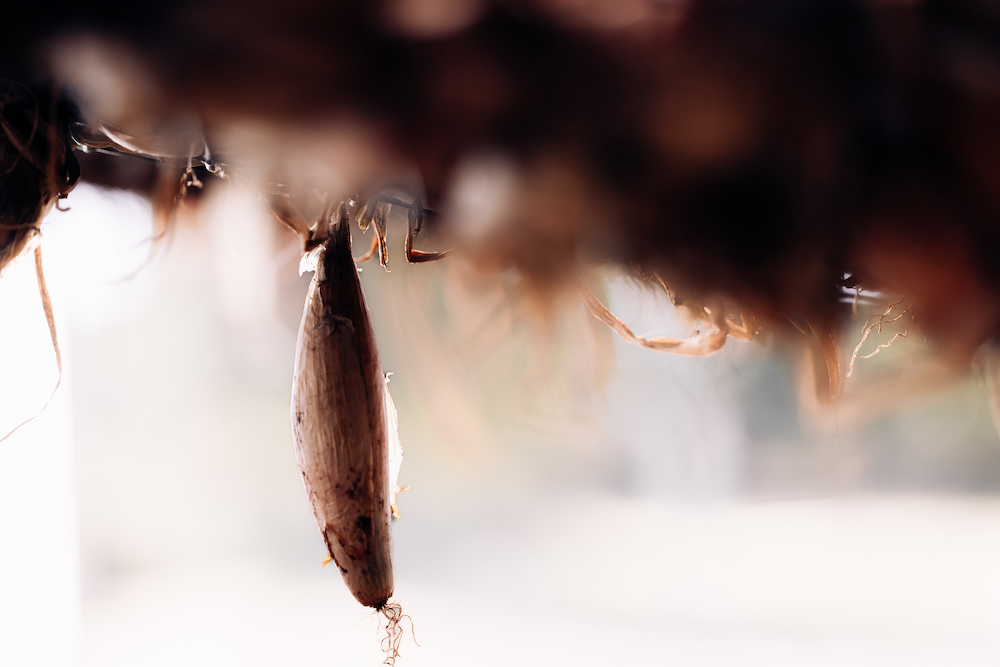20230908_garten_idem-3