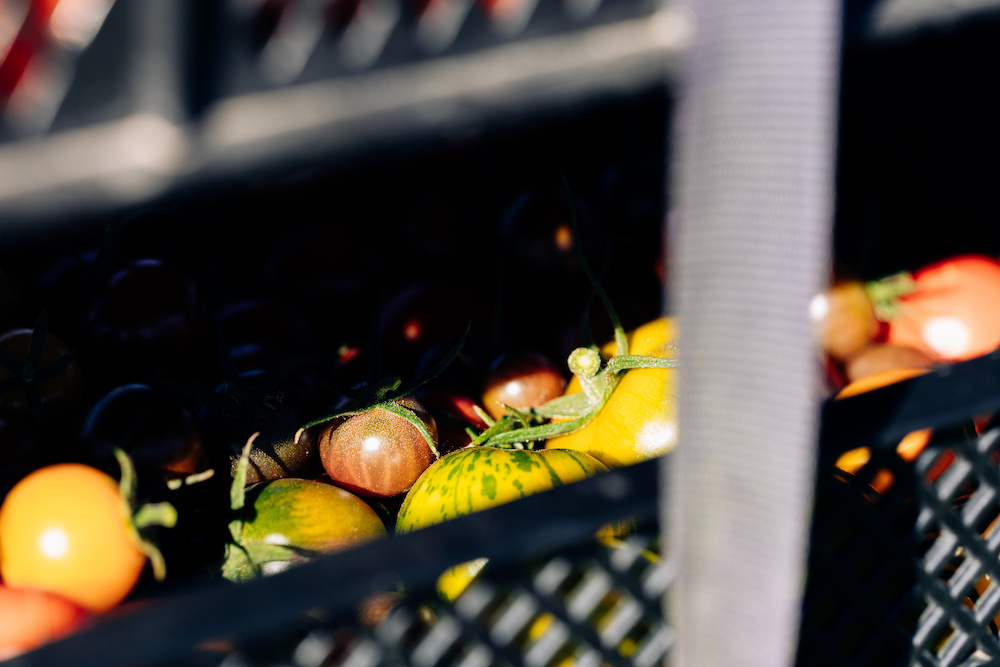 20230908_garten_idem-34