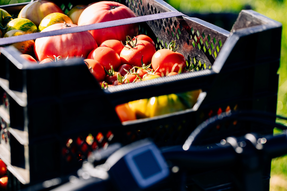 20230908_garten_idem-36