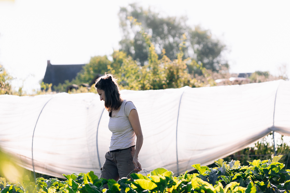 20230908_garten_idem-4