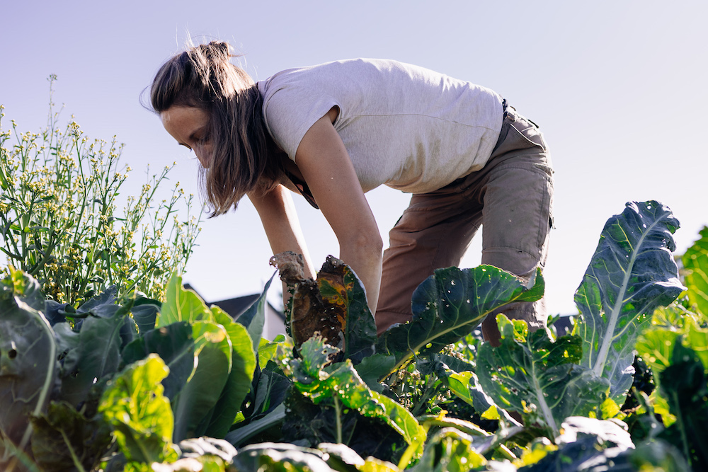 20230908_garten_idem-41