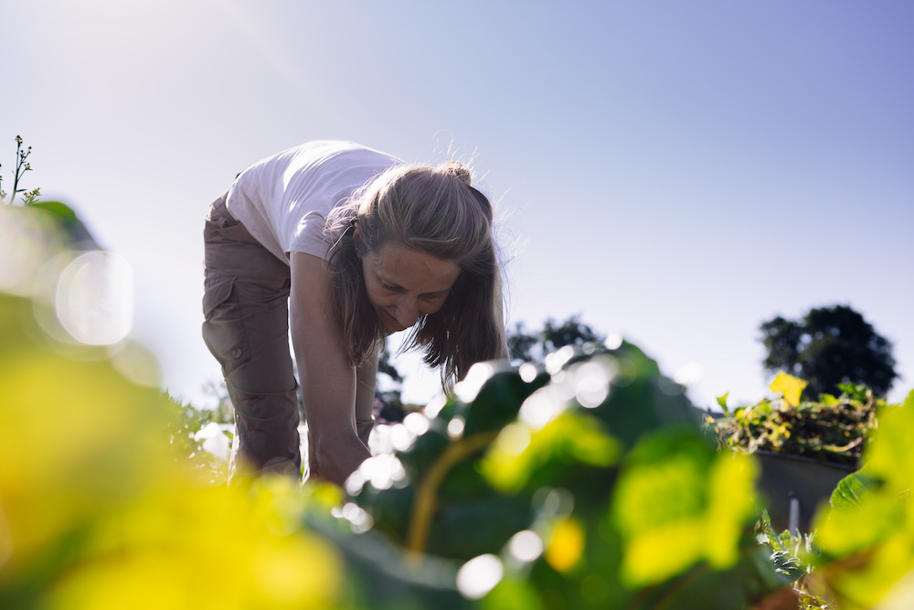 20230908_garten_idem-42