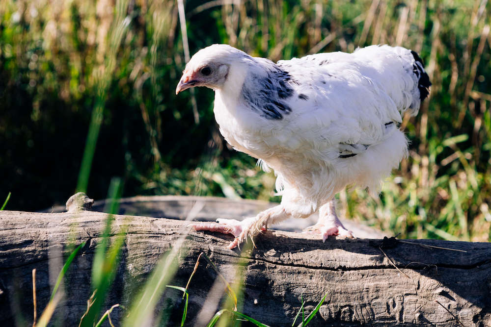 20230908_garten_idem-58