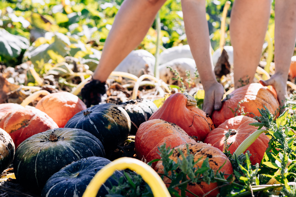 20230908_garten_idem-73