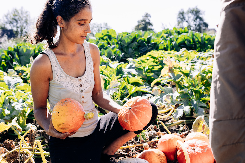 20230908_garten_idem-77