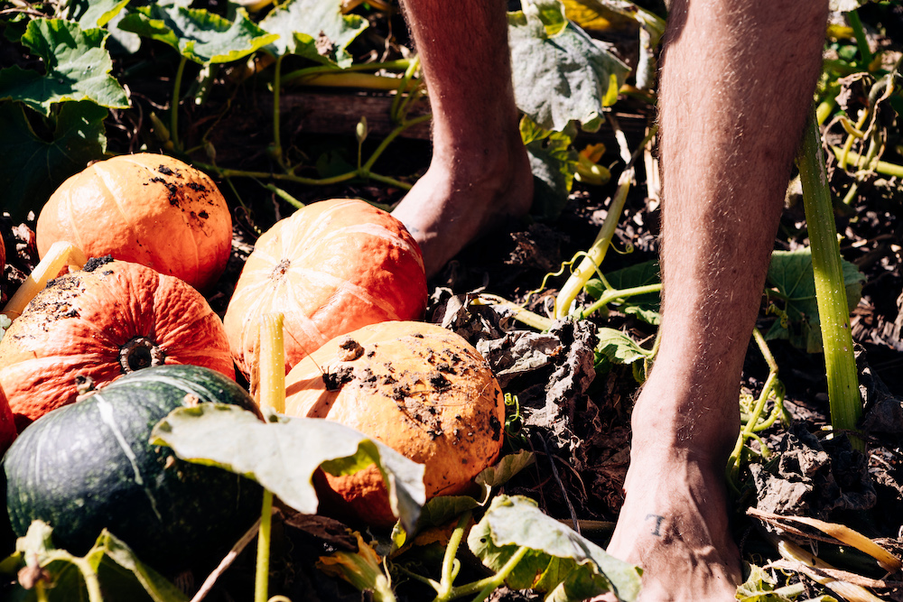 20230908_garten_idem-78