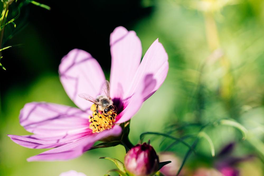 20230908_garten_idem-8
