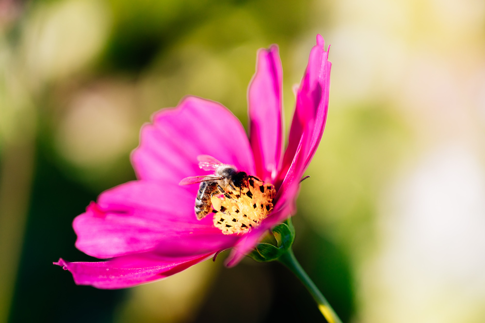20230908_garten_idem-9